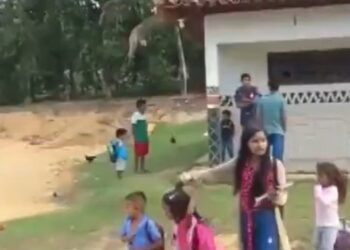 ‘Crianças chorando, pedindo socorro e correndo sem saber para onde ir’, diz professora após ataque de tiros em aldeias na Bahia