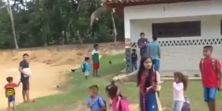 ‘Crianças chorando, pedindo socorro e correndo sem saber para onde ir’, diz professora após ataque de tiros em aldeias na Bahia