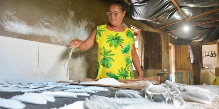 Prefeitura de Feira fomenta crédito a juros abaixo do mercado para o produtor rural