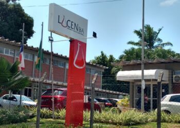 Cepa da dengue é identificada pela 1ª vez na Bahia e Sesab emite alerta