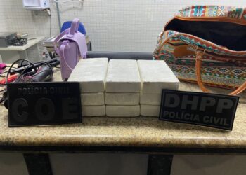 Jovem é presa com 9 kg de cocaína em transporte clandestino na BR-324; cão farejador encontrou droga