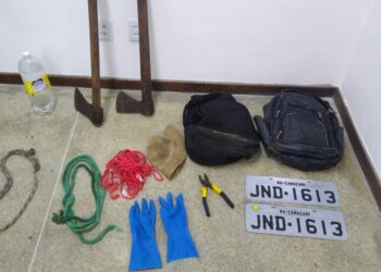 Suspeitos de roubo de gado são presos no interior da Bahia;