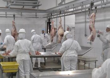 Duas pessoas morrem por doença causada por infecção com ‘vaca louca’ na Bahia; outras três estão infectadas