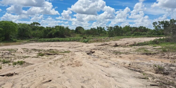 Fiscais da Semmam apuram denúncia de areal clandestino em Maria Quitéria