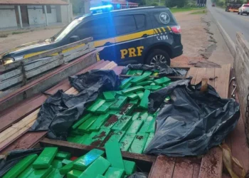 Meia tonelada de maconha é apreendida no sudoeste da BA; parte da droga foi achada em fundo falso de caminhão