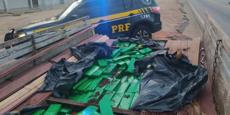 Meia tonelada de maconha é apreendida no sudoeste da BA; parte da droga foi achada em fundo falso de caminhão