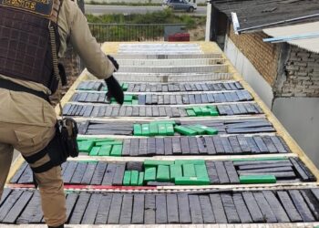 Homens são presos e mais uma tonelada de maconha é apreendida na BA; droga estava escondida em caminhão frigorífico