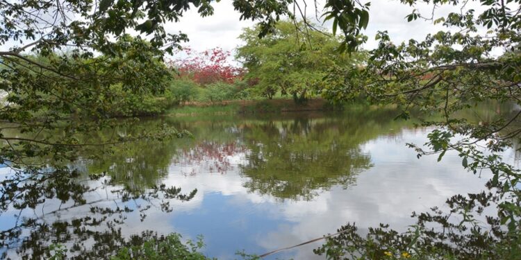 Secretaria de Meio Ambiente terá ampla programação alusiva ao Dia da Água