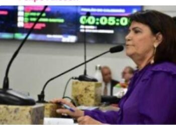 Eremita Mota responde acusações e alega etarismo e misoginia na Câmara Municipal de Feira de Santana