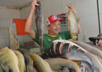 Comerciantes esperam boas vendas para a Semana Santa