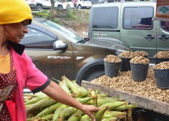 Inicia procura por produtos típicos do período junino no Centro de Abastecimento