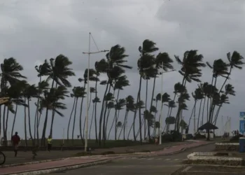 Inverno deve se manter mais frio e menos chuvoso na Bahia este ano