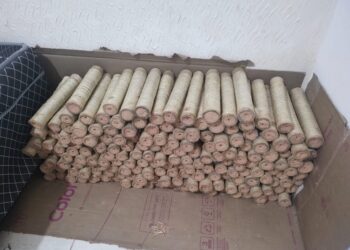 Cerca de 180 espadas juninas são apreendidas em Cruz das Almas, no Recôncavo Baiano