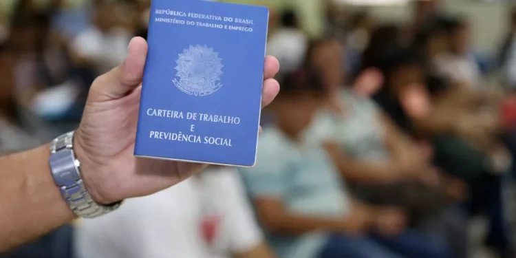 Desemprego cai a 8% no segundo trimestre de 2023, diz IBGE