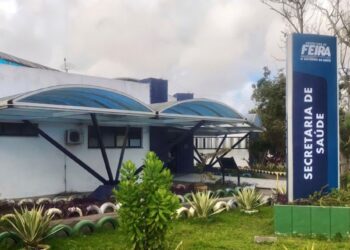 Quinto caso de morcego com raiva é confirmado em Feira de Santana