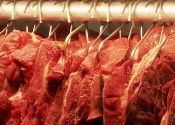 Picanha, filé-mignon, porco… Por que o preço da carne está caindo?