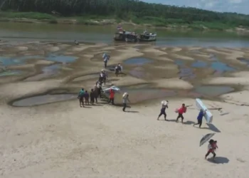 Sem água na torneira, comida mais cara: o suplício das famílias em seca histórica na Amazônia