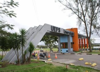 Uefs concederá título de Doutora Honoris Causa à Ivannide Santa Bárbara