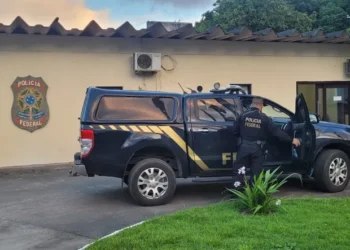 Dois homens são presos pela Polícia Federal em operação na Bahia contra compartilhamentos de conteúdos de abusos sexuais na internet