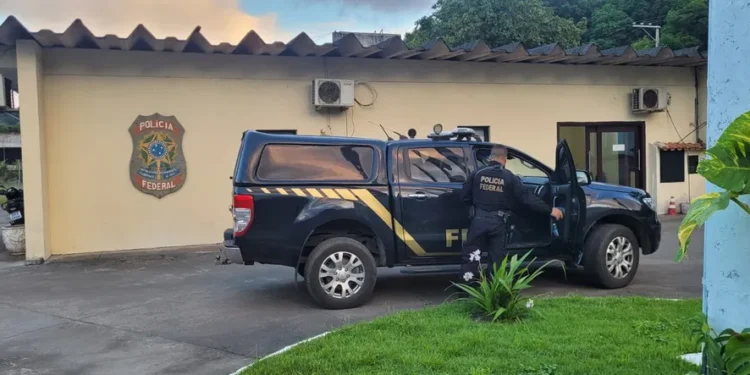 Dois homens são presos pela Polícia Federal em operação na Bahia contra compartilhamentos de conteúdos de abusos sexuais na internet