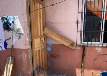 Criança de dois anos morre após ser atacada por cachorro pitbull no interior da Bahia
