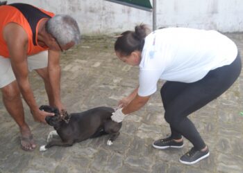 Vacinação contra a raiva ocorre em dez localidades nesta semana