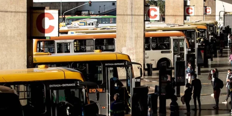 STF torna obrigatória oferta de transporte gratuito nas eleições
