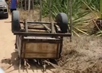 Agricultor é encontrado morto embaixo de reboque carregado de madeira na Bahia