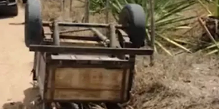 Agricultor é encontrado morto embaixo de reboque carregado de madeira na Bahia