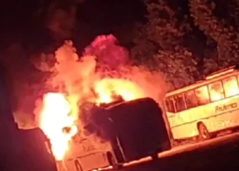 Homem é preso em flagrante após incendiar três ônibus e um carro no interior da Bahia