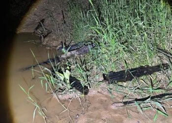 Metralhadoras do Exército achadas em São Roque estavam em lamaçal.