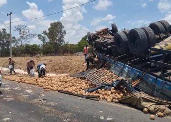 Homem morre e uma pessoa fica ferida após batida entre carro e caminhão na BA; veículo de carga capotou