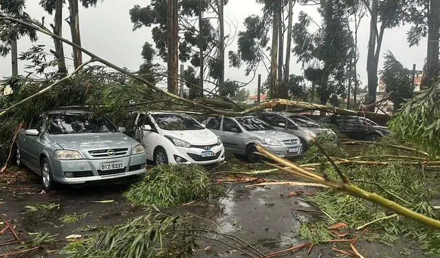 Chuva deixa seis mortos no estado de SP, diz Defesa Civil; queda de árvores sobre carros e muros foi principal causa dos óbitos