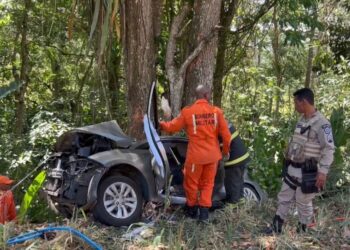 Três pessoas morrem após carro bater em árvore no sul da Bahia; duas das vítimas eram casadas