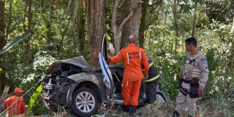 Três pessoas morrem após carro bater em árvore no sul da Bahia; duas das vítimas eram casadas