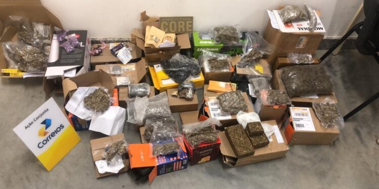 Onze quilos de drogas são encontrados em embalagens de panetones natalinos, eletros e brinquedos na Bahia
