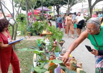 Feiras de arte e artesanato retomam atividades neste domingo