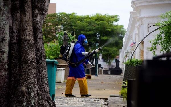Casos de dengue crescem 33% na Bahia no último ano