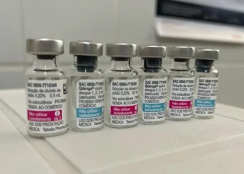 Vacinação contra dengue vai priorizar faixa etária de 6 a 16 anos