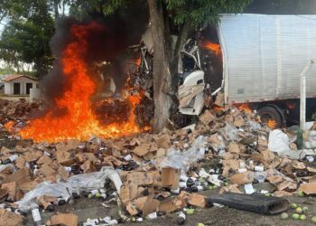 Caminhão bate em árvore e pega fogo em acidente que deixou dois mortos em rodovia na Bahia