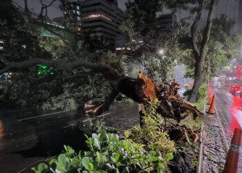Temporal alaga ruas, arrasta carros, deixa pessoas ilhadas e derruba árvores em BH