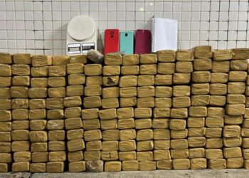 Homem é preso e 163 kg de maconha são apreendidos em imóvel de Salvador
