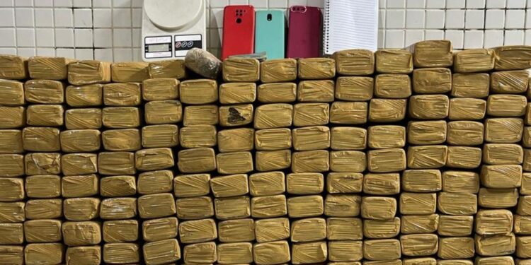 Homem é preso e 163 kg de maconha são apreendidos em imóvel de Salvador