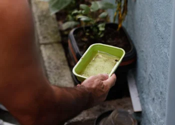 Secretaria confirma quarta morte por dengue na Bahia