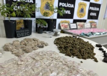 Foragido de SC é preso na BA com drogas que seriam vendidas no carnaval de Salvador