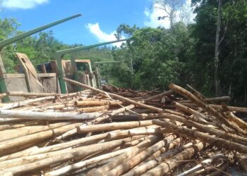 Ciclista morre após ser atingido por toras de madeira transportadas em carreta no sul da Bahia