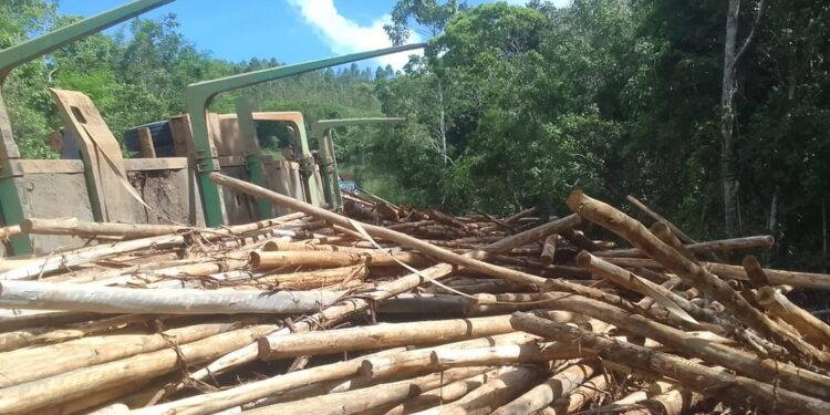 Ciclista morre após ser atingido por toras de madeira transportadas em carreta no sul da Bahia