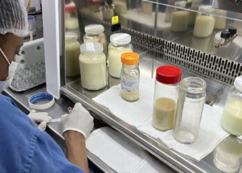 Estoque do Banco de Leite do Hospital da Mulher registra queda em fevereiro