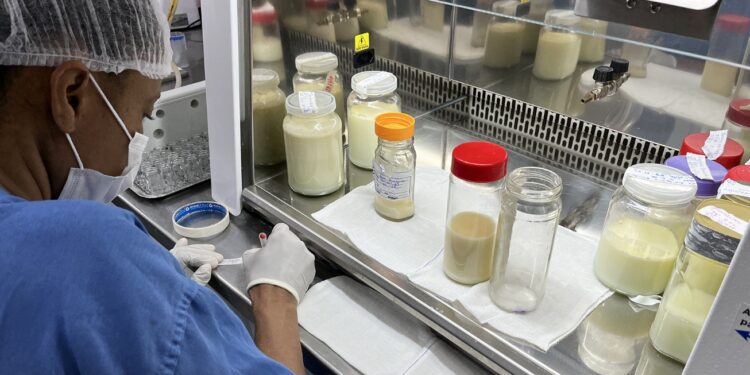 Estoque do Banco de Leite do Hospital da Mulher registra queda em fevereiro