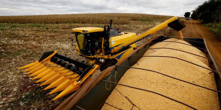 PIB do Brasil cresce 2,9% em 2023, diz IBGE